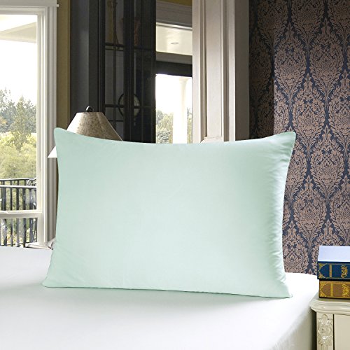 Townssilk Both Side 100% 19mm Silk Pillowcase King Size Pillow Case Cover with Hidden Zipper Lightgreen