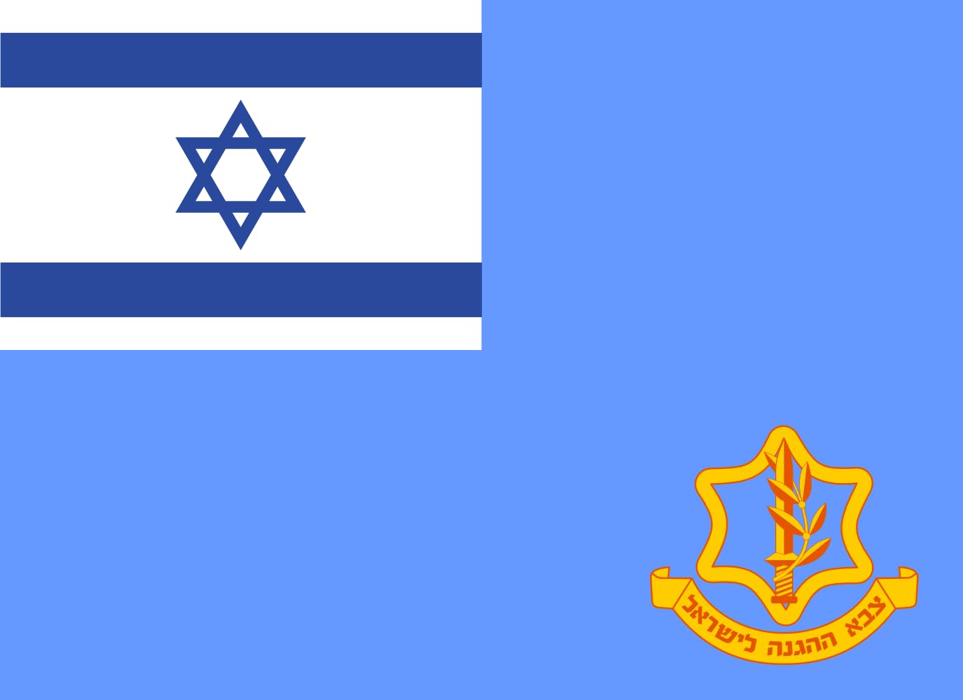 Drapeau Large Israel Defense Forces emblème officiel Tsahal grand format