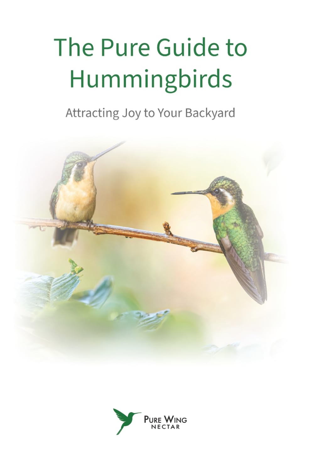 The Pure Guide To Hummingbirds: Attracting Joy to Your Backyard