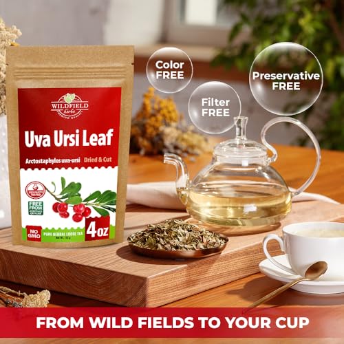 Image of 4 oz. Uva Ursi Leaf Uva Ursi Tea Herbal (Arctostaphylos Uva-Ursi) - 113g Uva-Ursi Herb Tea Arctostaphylos Uva-Ursi