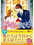 秘密の契約【ベリーズ文庫版】