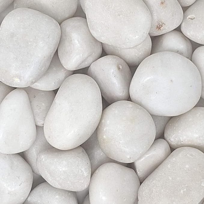 See full amazon price history chart for Baba Ka Deewana Big White Polished River Rock Stones (White Jumbo, 5kg) (4cm - 6cm) for Home Decoration, Aquarium/Fish Tank, Garden, and Swimming Pool Polished River Rock Unplanted Substrate Baba Ka Deewana Big White Polished River Rock Stones (White Jumbo, 5kg) (4cm - 6cm) for Home Decoration, Aquarium/Fish Tank, Garden, and Swimming Pool Polished River Rock Unplanted Substrate (B0DFX757TP) Amazon Price History, Amazon Price Tracker