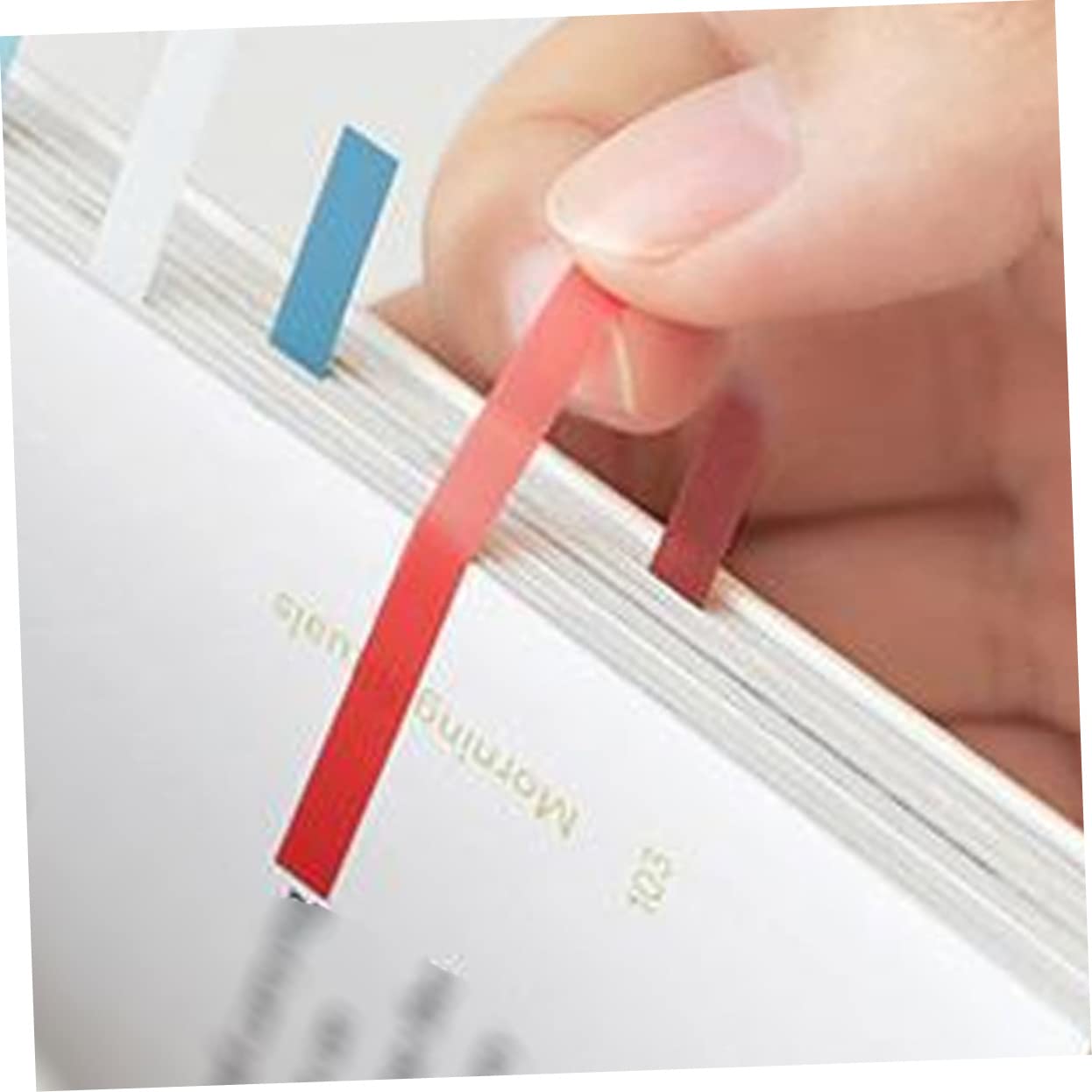 Uonlytech 4 Sätze Aufkleber Komfortabel Registerkarten Zum Kommentieren Index-tabs Notizbilder Klebestreifen Klebrig Seitenmarkierungen Farbe Das Haustier 8 Blätter * 4