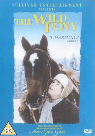 The Wild Pony [1983] [DVD] by Marilyn Lightstone
