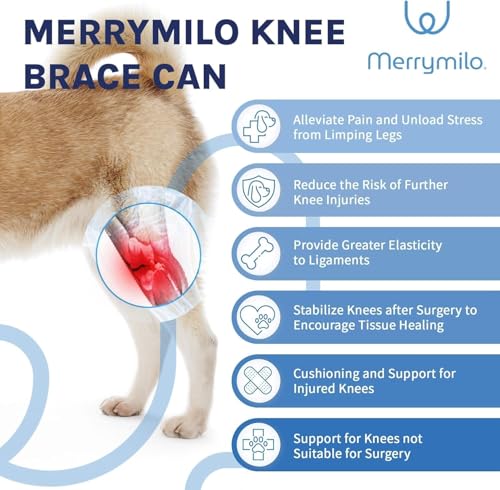 Image of Dog Knee Brace for Torn ACL & Hind Leg Support - Adjustable Dog Hip & Leg Brace for Cruciate Ligament, Arthritis Relief, Joint Stability & Injury Recovery, Color: Grey, Size: M