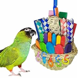 Super Bird Creations SB669 Wicker Foraging Basket Bird Toy for Parrots Cockatiels Ringnecks Medium Conures Quakers,Caiques Pionus – Crunchy Multi-Colored Textures – Medium Bird Size, 10” x 4” x 5”