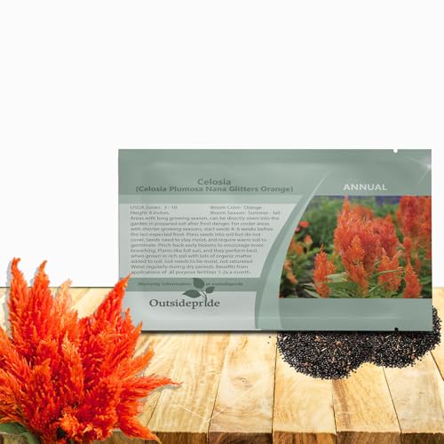 Outsidepride Orange Celosia Seeds - 500 Pcs Annual Dwarf Weather-Resistant Flower Seeds for Planting Vibrant Plumes, Great for Containers, Borders, Pollinator-Friendly Gardens & House Plants Outsidepride Orange Celosia Seeds - 500 Pcs Annual Dwarf Weather-Resistant Flower Seeds for Planting Vibrant Plumes, Great for Containers, Borders, Pollinator-Friendly Gardens & House Plants