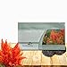 Outsidepride Celosia Orange - 500 Seeds