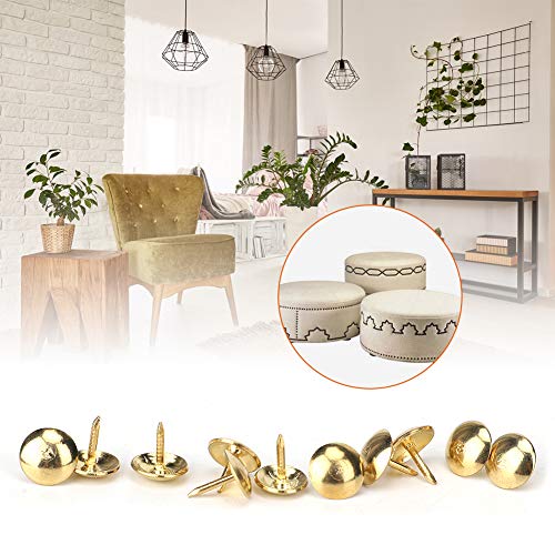 300Pcs Gold Möbel Polsternägel Daumen Reißnagel Stecknadeln Big Head Nagelstifte für Home Decor Hanging Project(GOLD)