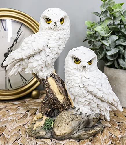 Ebros Mystical Two White Snowy Baby Owlets Perching On Tree Branch Statue 7" Wide Realistic Nocturnal Owl Pair Sculpture Nature Animal Bird Owls Figurine