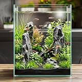 Cirrsondy 2.16 Gallon Glass Fish Tank, Low Maintenance Small Aquarium for Betta Fish, Snails, Shrimp & Aquatic Plants