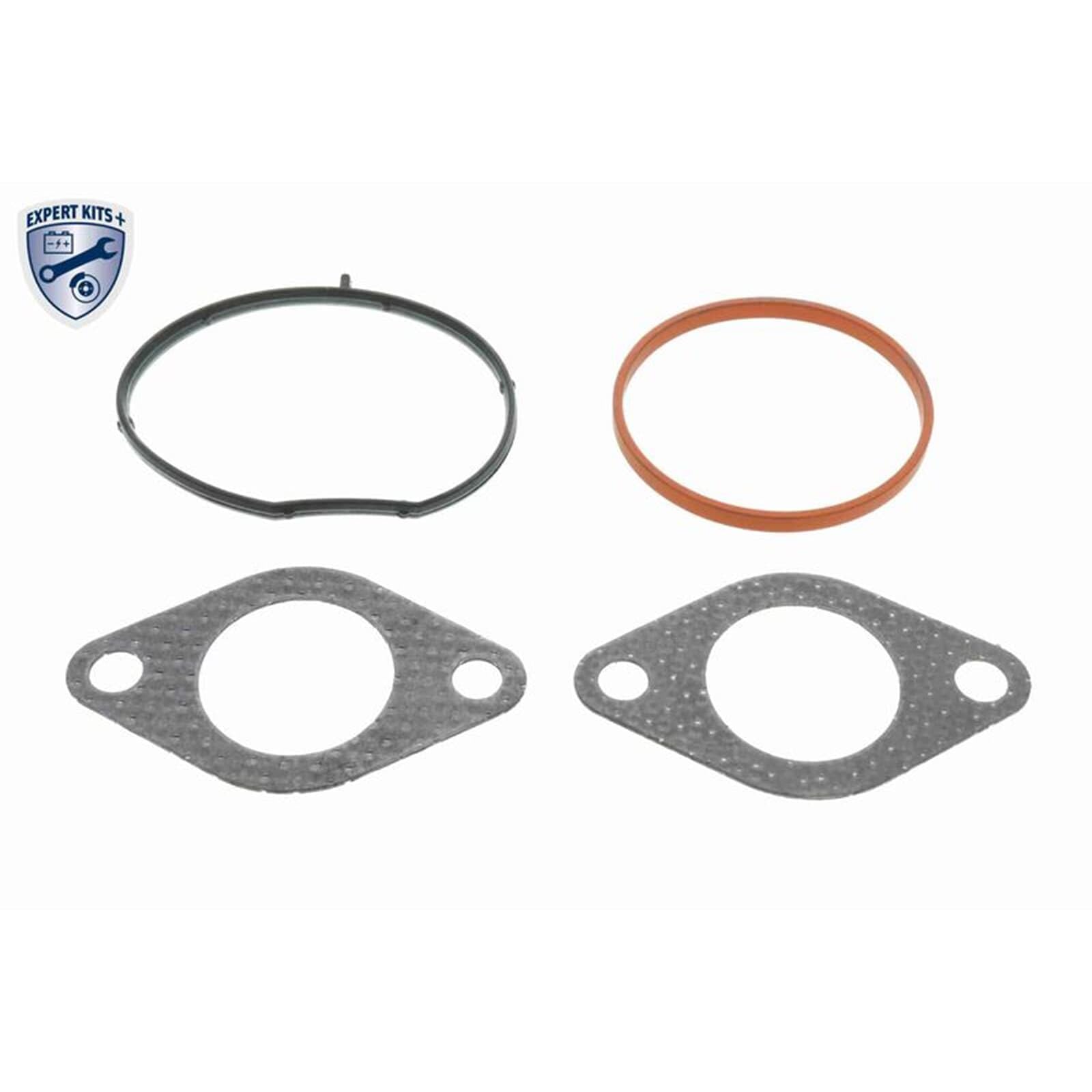 VEMO Kit guarnizioni, Sistema-EGR V10-63-0191 Compatibile con: AUDI A3, A3 Sportback, A4 B8, A4 B8 Avant, A5 Sportback, A6 C6, A6 C6 Avant, Q5, SEAT ALTEA, ALTEA XL, EXEO, EXEO ST, LEON, TOLEDO III
