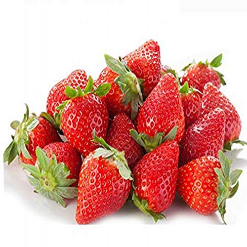 yYz܂  1 270g×2pbN Gi