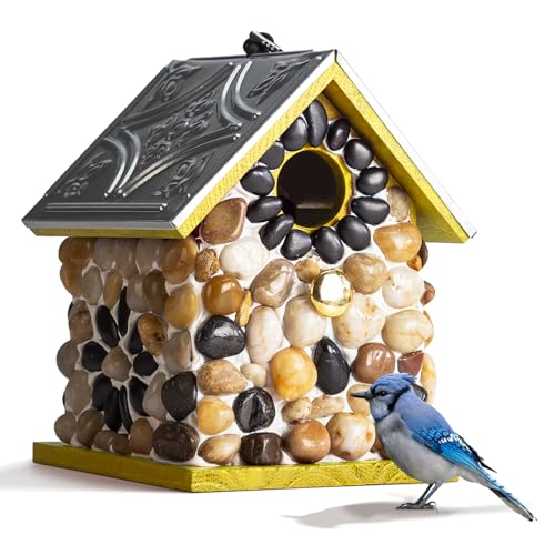 Masterpiece Bluebird Bird House ONAX ̒̉ Opo[htB[_[ Α̕ʑ Oɒ݂邷 ̑ C  (B) (CG[)