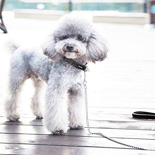 PETTOM Hundeleine Stark Metall Kettenleine, Übungsleine mit PU Leder und Gepolstertem Nylon-Griff, Trainingsleine Für Kleine Mittlere und Große Hunde (S: 0.2cm*180cm) Silber