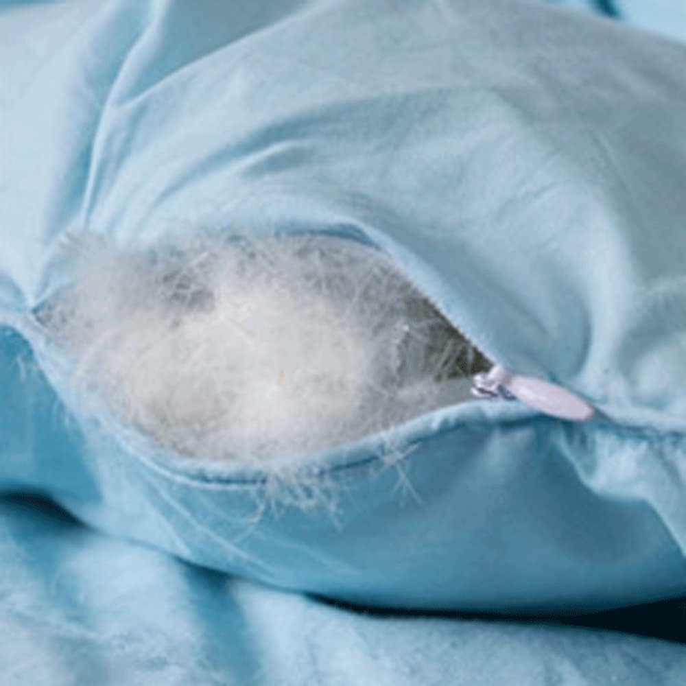 Duvet White Goose Down Cotton Warm Winter by Core Thick by Spring and Autumn Air Conditioning Quilt