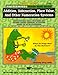 Addition, Subtraction, Place Value, and Other Numeration Systems: Middle Grades (Masterminds Riddle Math Series)