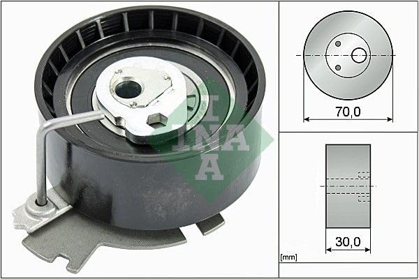 Kit Tendicinghia INA Per Renault: Affidabile E Preciso