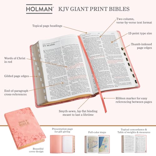 Image of KJV Holy Bible, Giant Print with Cross-References, Soft Pink LeatherTouch with Floral Cover Design, Thumb Index, Ribbon Marker, Red Letter, Full-Color Maps, Easy-to-Read MCM Type, King James Version