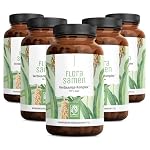 NATURTREU – NATURTREU® Flohsamenschalen Kapseln hochdosiert - 600 Kapsel