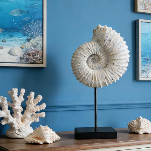 Conch Shell Coastal Room Decor - Ocean Beach Themed Room