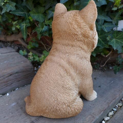 Amazon.co.jp: 犬の置物 柴犬 子犬 豆柴 いぬ イヌ 動物 N12907