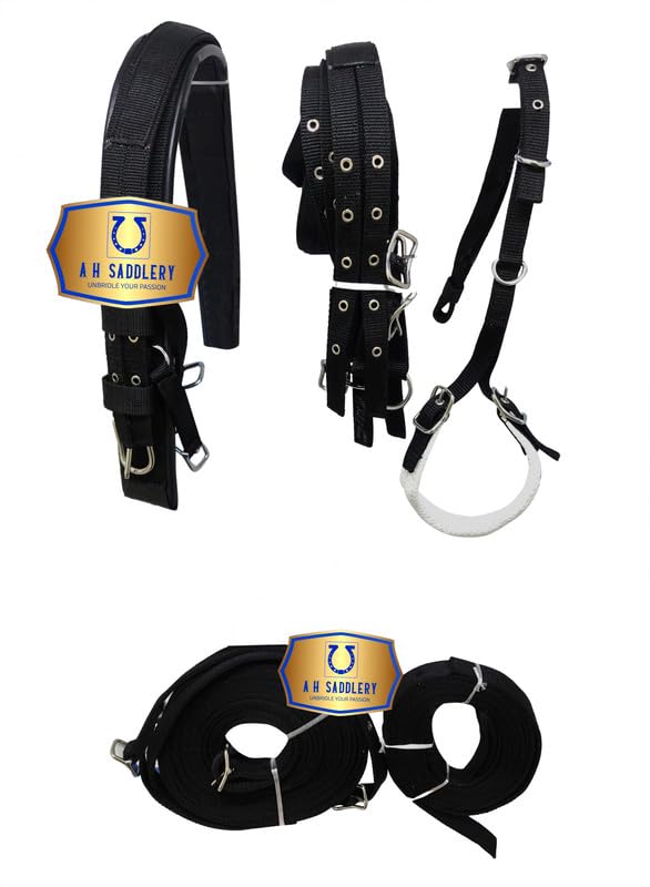 Harnais en nylon synthétique de conduite de cheval de brevet