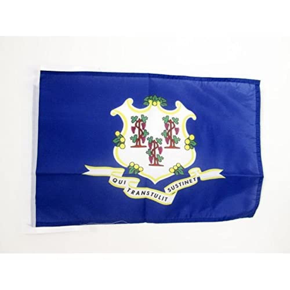 Iran Old Persia Flag 18'' x 12'' cords - Persian SMALL flags 30 x 45cm - Banner 18x12 in - AZ FLAG — view 975