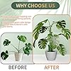 Telescoping Plant Stakes,3Pcs 17.9In to 42.3In Adjustable Monstera Plant Support Orchid Sticks with Clips, Plant Sticks Support Tall for Monstera,Orchids,Tomatoes,Vines & Indoor Outdoor Plants #4