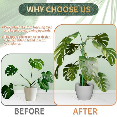 image for Stroller Telescoping Plant Stakes,3Pcs 17.9In to 42.3In Adjustable Mon