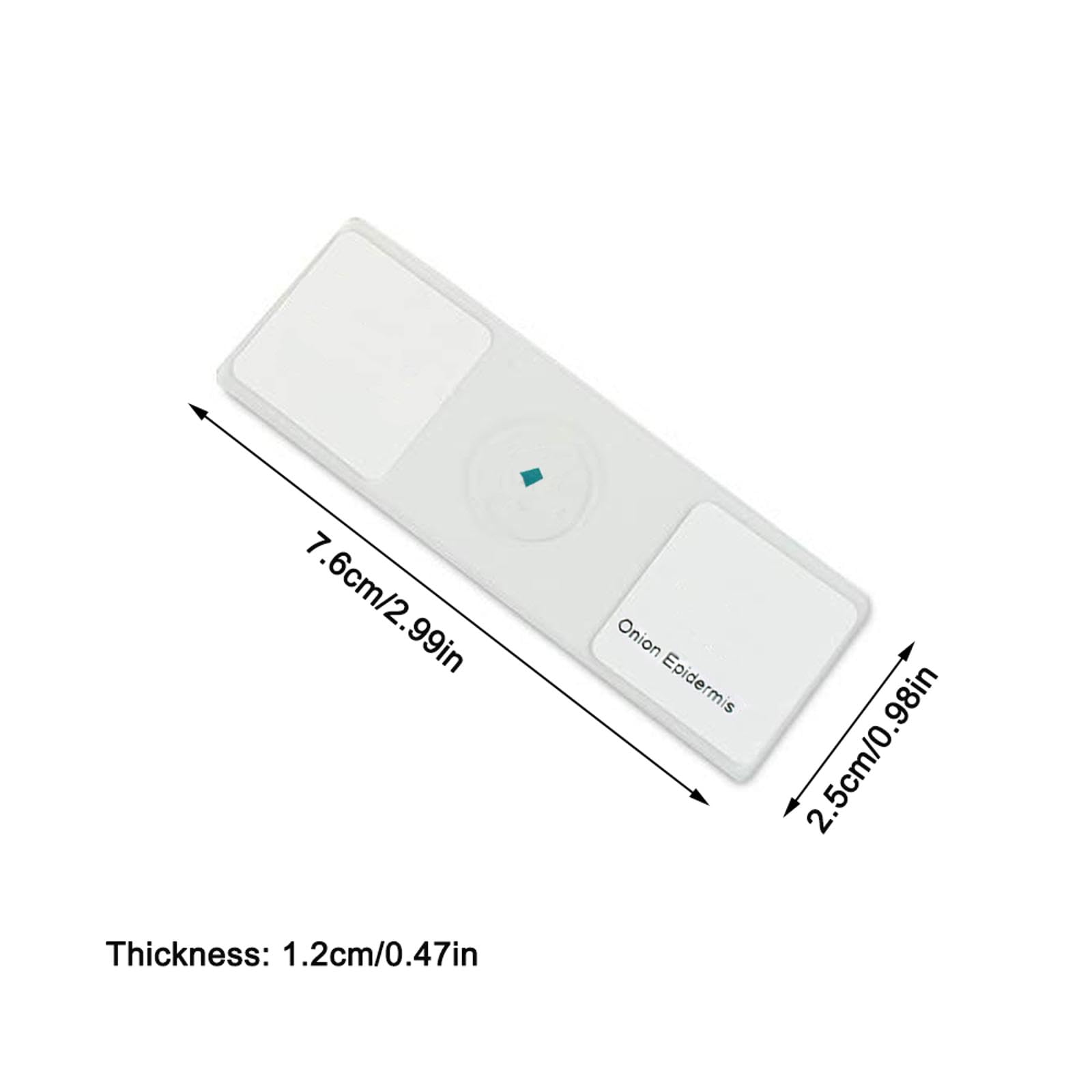 25pcs Microscopio Porta Oggetti Microscopio, vetrini in Vetro per mitosi vegetale, Microscopio Accessori per Laboratorio Scientifico Biologico