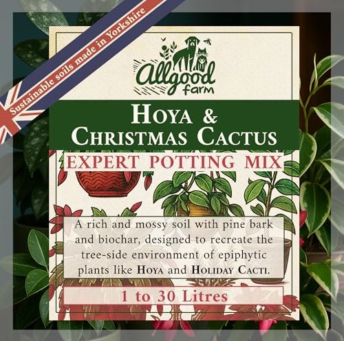 Allgood Farm Hoya & Christmas Cactus Soil - Expert Potting Soil Mix for Schlumbergera, Carnosa, Kerrii, Rhipsalis, Holiday Cacti (1 Litre)