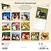 Shetland Sheepdogs | 2026 12 x 24 Inch (Hanging) Monthly Square Wall Calendar | Plastic-Free | BrownTrout | Animals Dog Breeds
