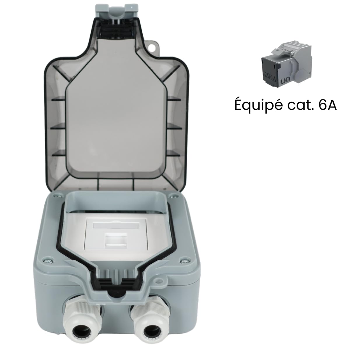 Boîtier RJ45 mural étanche IP 66-1 port | Cat.6A, Prise RJ45 1 port murale étanche équipée catégorie 6A