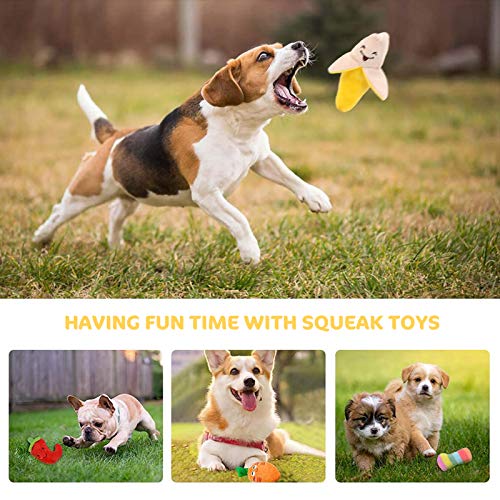 Legendog Squeaky Dog Toys, 10pcs Dog Puppy Toy Packs, Cute Soft Plush Small Dog Toys, Small Stuffed Puppy Teething Squeaky Toys