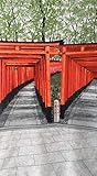 【千本鳥居 150㎝丈】和 京都 のれん おしゃれ 目隠し 仕切り カーテン レース 生地 かわいい 自然 風景