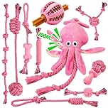 Ystars 10 Pcs Puppy Toys for 8-38 Weeks,Great Value Puppy teething toys for Energetic Puppies,Durable dog toys for Small Dogs Play and Training