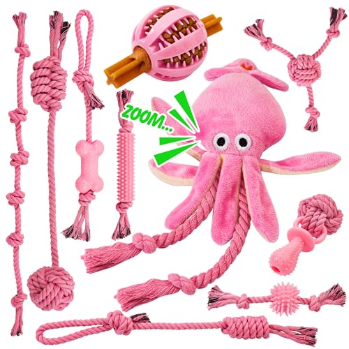 Ystars 10 Pcs Puppy Toys for 8-38 Weeks,Great Value Puppy teething toys for Energetic Puppies,Durable dog toys for Small Dogs Play and Training