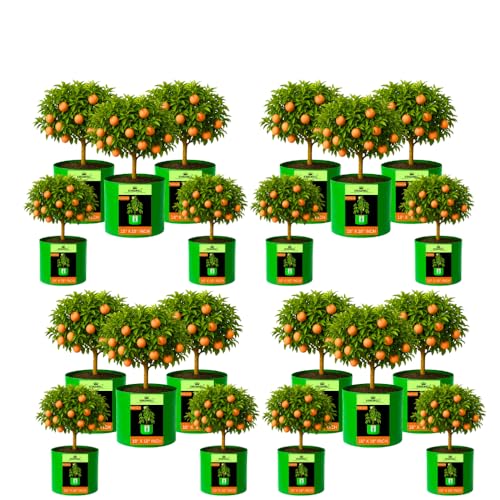 Image of Kingwell grow bags 18x18 inches pack of 20 Grow Bag For Terrace Garden Leafy Vegetable Plant Grow Bags Fruits Growing Containers For terrace Gardening