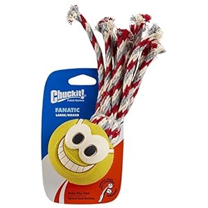   ChuckIt-Tennis-Fanatic-Dog-Toy-Medium-25-Inch