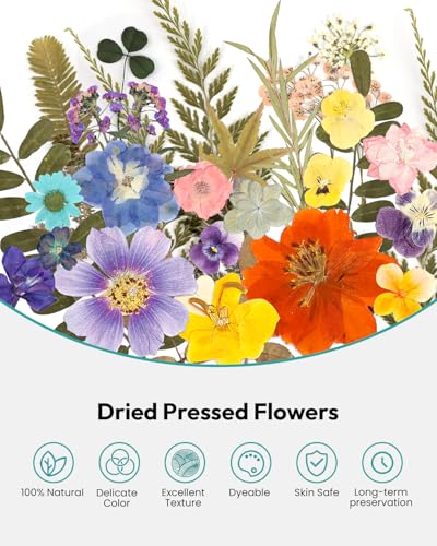 Image of Dried Flowers, Resiners 174Pcs Pressed Flowers for Craft Pink Real Natural Dried Flowers Dry Leaves Kit for DIY Making Crafts Resin Soap Candle Scrapbook Supplies Card Making Jewelry