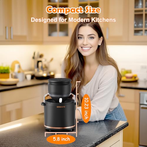 Image of BRIOBITE 1.1 Quart Ice Cream Maker - Electric Ice Cream Machine for Gelato, Milkshakes & Sorbet,Perfect for 2-3 Servings, Easy to Use & Clean,Black