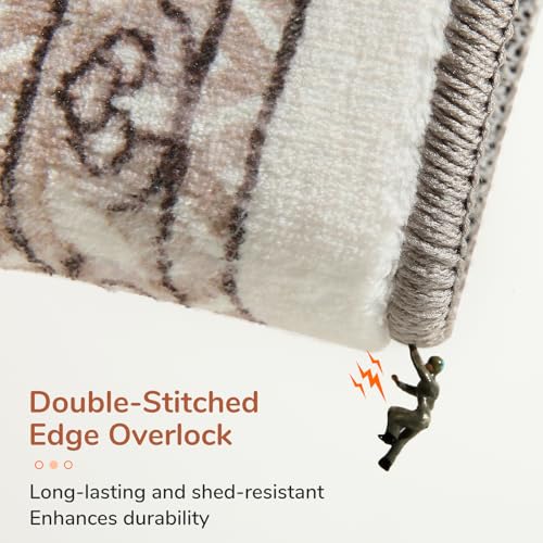 OPPODREAM Soft Area Rugs 3x5, Washable Rugs with Non Slip Backing, Low-Pile Throw 3x5 Carpet, Faux Cashmere 3 x 5 Carpet, Khaki