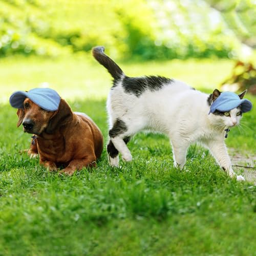 Riisoyu Hunde Baseballmütze, Verstellbar Hundecap mit Ohrlöchern Hunde Sonnenhut Sommer Reise Hut Hund Katze Outdoor Sunbonnet für kleine, mittlere und große Hunde, Blau