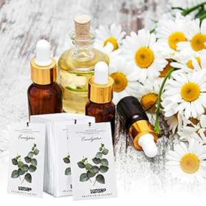 MYARO 12 Packs Eucalyptus Scented Sachets for Drawer and Closet Long Lasting Sachets Bags Air Freshener Fresh Scents Potpourri Bags Home Fragrance Sachet for Lover