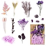 Tipps: Da es sich hier wirklich um geprägte Trockenblumen handelt. Jede Blume ist anders. Die Art, Größe und Farbe der Blumen können leicht von der Abbildung abweichen. Verschiedene Blumen und Blätter, Formen und Farben sind gut erhalten.