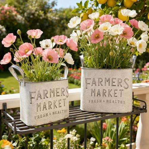 Vintage Metal Flower Planter Buckets with Handle Set of 2 Rustic Metal Flower Pots Farmhouse Plant Containers for Herb Succulent, Indoor Outdoor Garden Home Yard Bathroom Kitchen Decor (White)