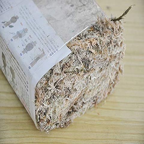 Sphagnum Moss, Natural Dried Sphagnum Moss Phalaenopsis Fertilizer, Water Moss Dry Moss Water Grass Substrates for Orchid Phalaenopsis, Plants Water Moss Dry Moss Soilless Cultivation Soil (6L) Cover
