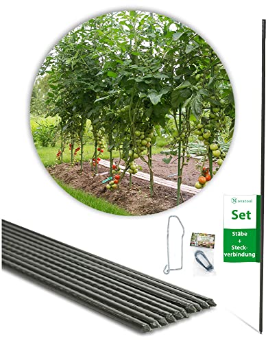 Novatool Lot de 10 piquets pour plantes de 150 cm et 6 pinces en bambou I Pinces en argile pour jardin - Treillis surélevés en bambou - 150 cm - Bâtons en bambou - Brise-vue - Clips de raccordement