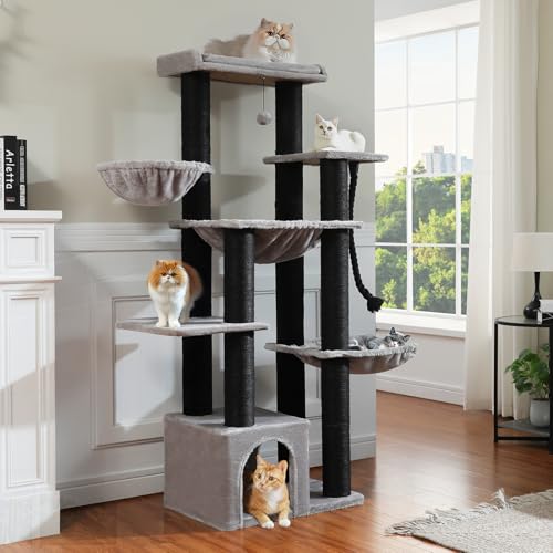 MUTTROS Maine Coon Cat Tree-67 Large Cat Tower for Indoor